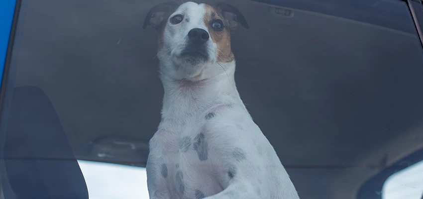 Car Lockout Solutions in Cambria, California