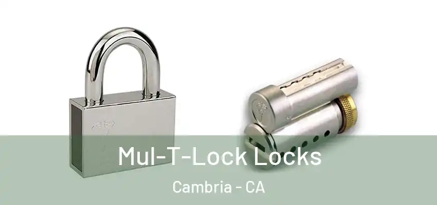  Mul-T-Lock Locks Cambria - CA